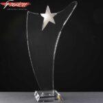 Fusion Crystal Southern Star Engraved Crystal Award In Velvet Lined Presentation Case 1