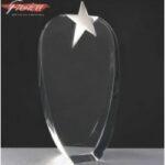 Fusion Crystal Opal With Star Crystal Award In Velvet Lined Presentation Case 1