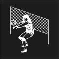 Volley Ball Logo 1